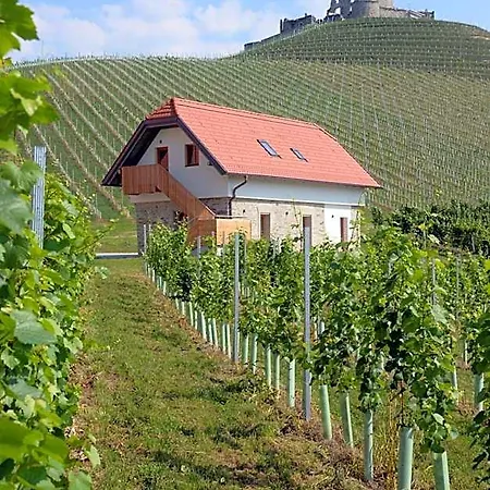 Weingut Taggenbrunn 4*