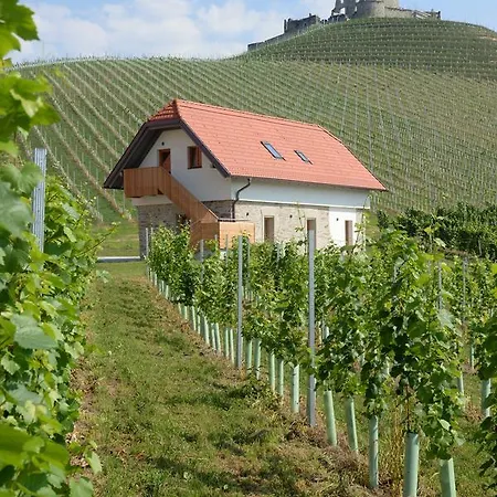 Hotel Weingut Taggenbrunn 4*