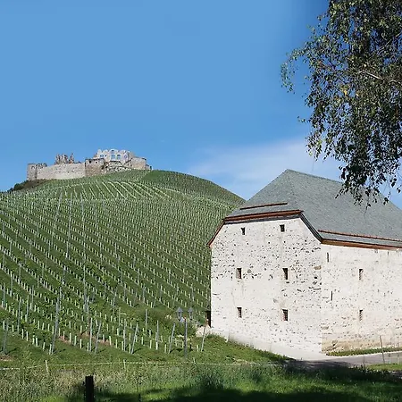 Weingut Taggenbrunn Hotel 4*