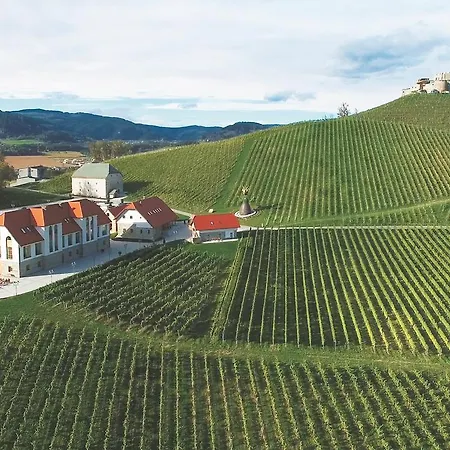 ホテル Weingut Taggenbrunn サンクト フェイト アン デル グラン