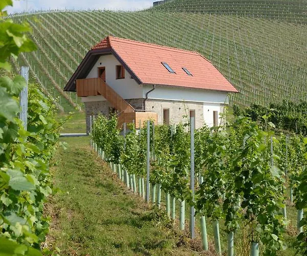 Hotel Weingut Taggenbrunn 4*