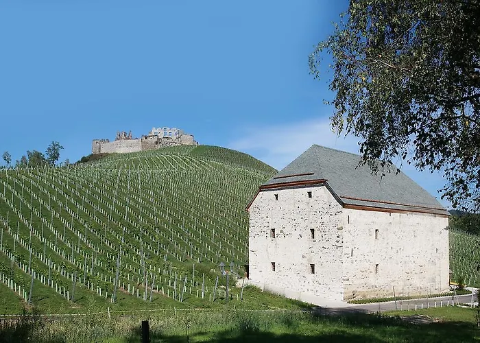 Weingut Taggenbrunn Hotel 4*