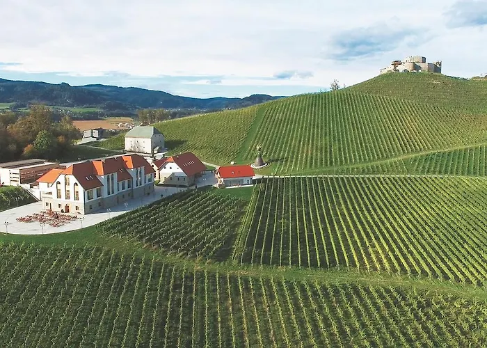 Hotel Weingut Taggenbrunn St. Veit an der Glan