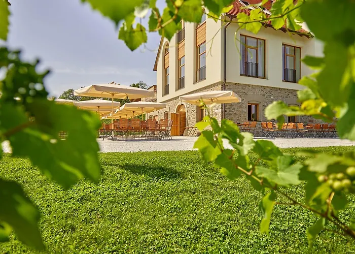 Hotel Weingut Taggenbrunn